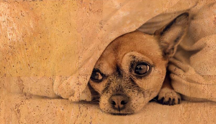 Panneau en liège naturel mosaïque  – Chihuahua