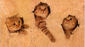Panneau en liège naturel mosaïque – Motif têtes de chats 🐱
