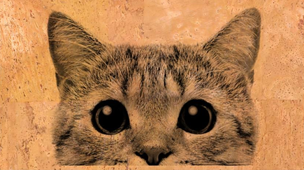 Panneau en liège naturel mosaïque – Motif chat curieux 🐱