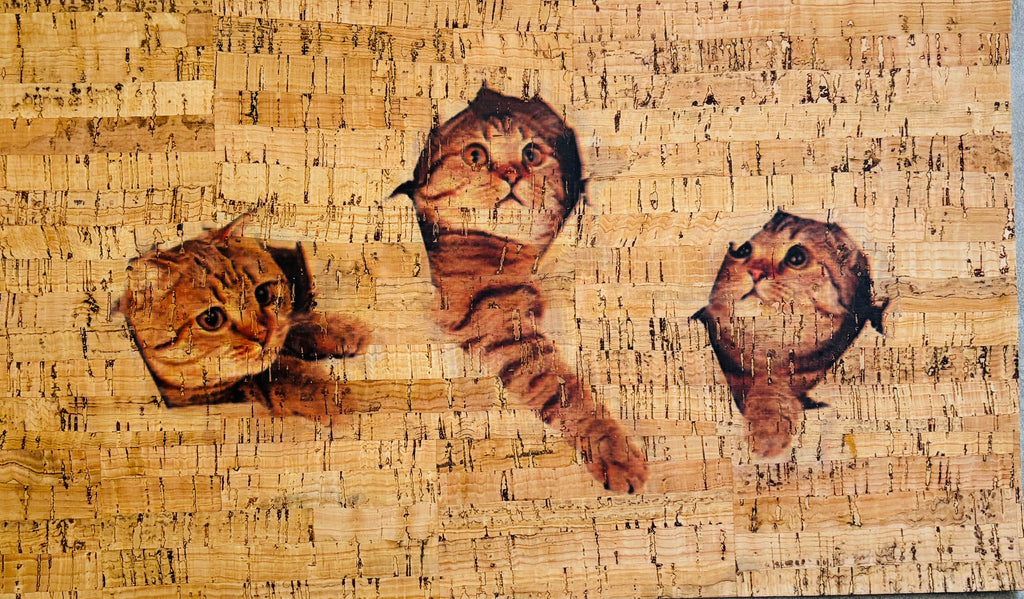 Panneau en liège naturel rustique – Motif têtes de chats 🐱