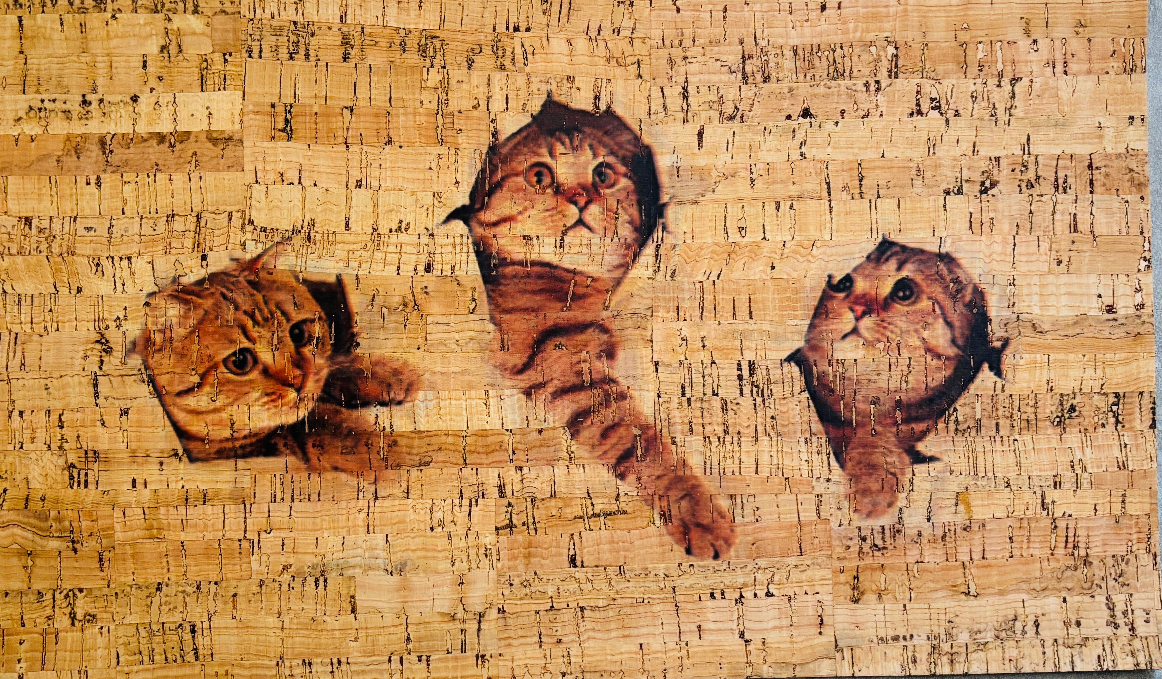 Panneau en liège naturel rustique – Motif têtes de chats 🐱